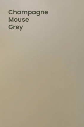 Champagne Mouse Grey